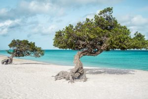 best beaches in Aruba