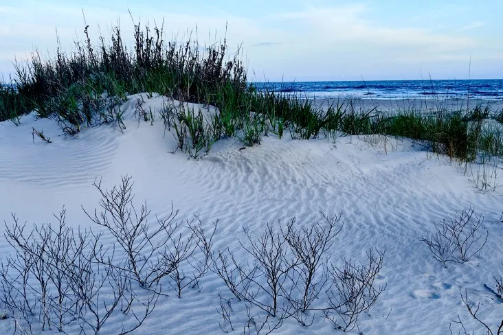 3-Kiawah-Island-SC best beaches in South Carolina