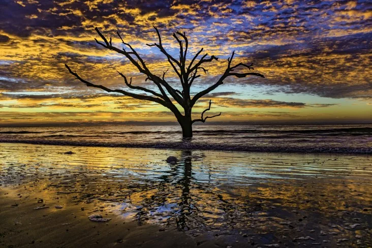8-Edisto-Beach-SC