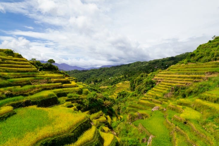 10-Philippines-Jan