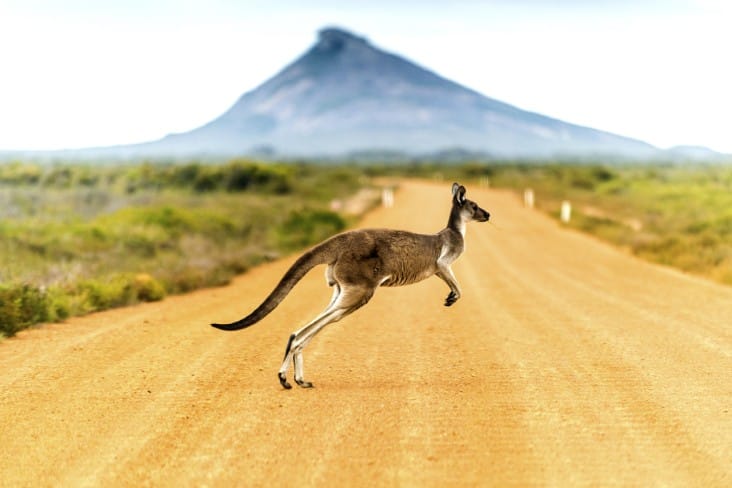 3-Australia-Jan best countries to visit in January