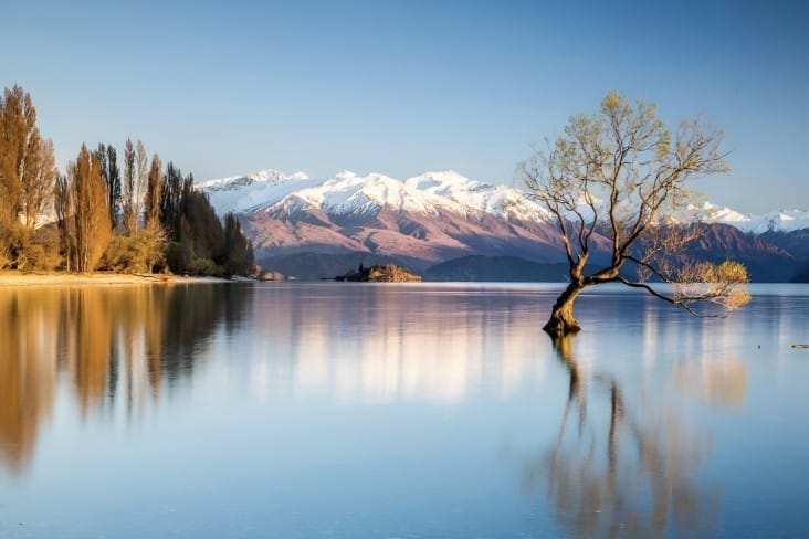 4-New-Zealand-Jan