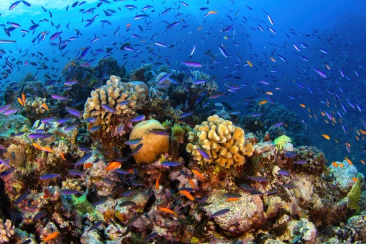 6-Great-Barrier-Reef-April