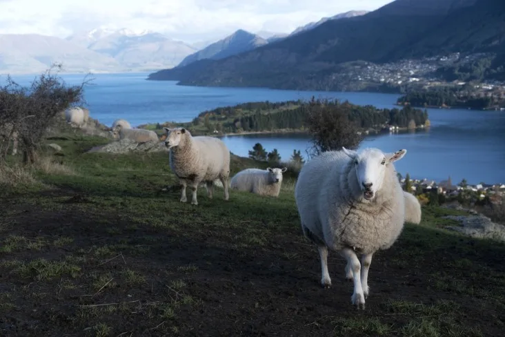 6-Queenstown-January best places to visit in january