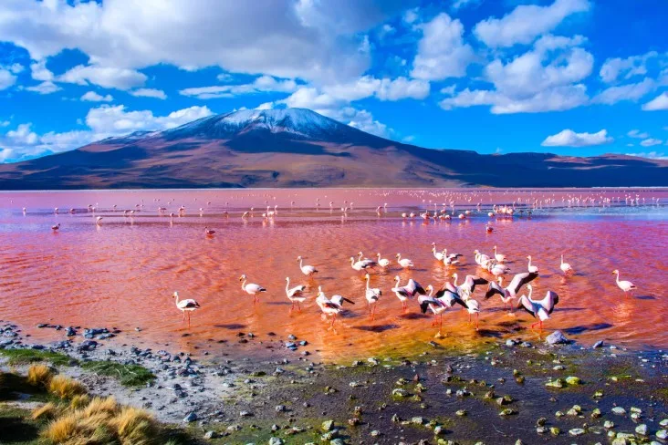 7-Salar-de-Uyuni-June best places to visit in August