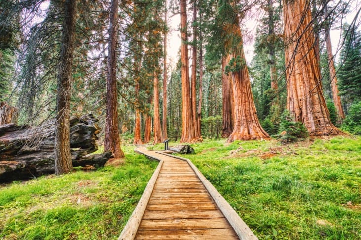 best places to visit in California