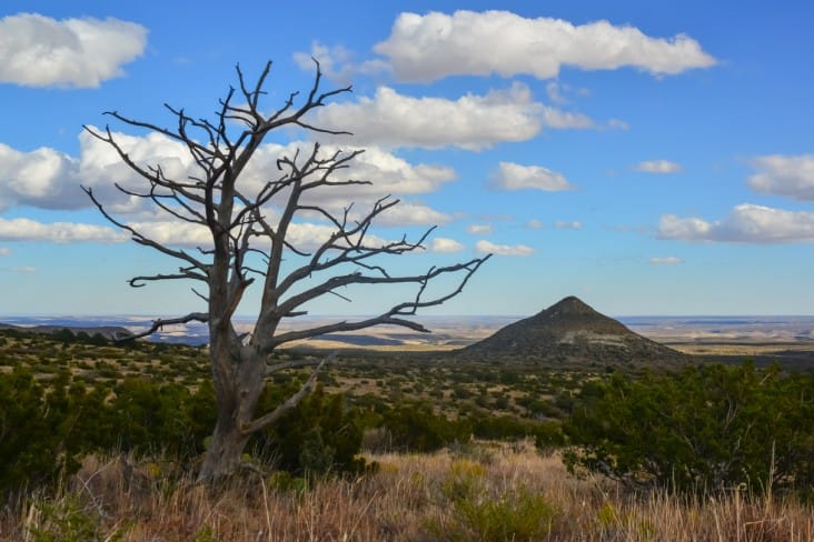 best state parks in Texas