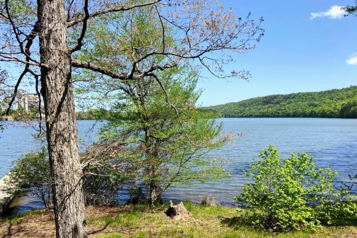 5-Lake-Catherine best state parks in Arkansas
