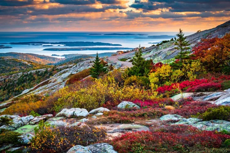 8-Acadia