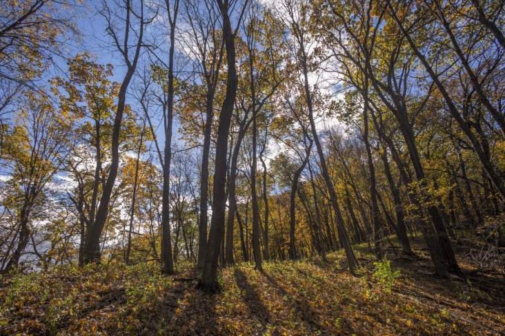 best state parks in Wisconsin