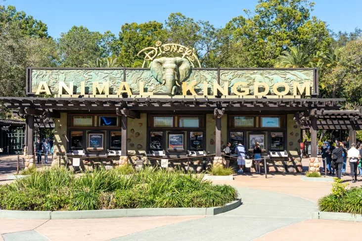 2-Animal-Kingdom