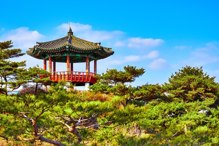 Best Time to Visit South Korea