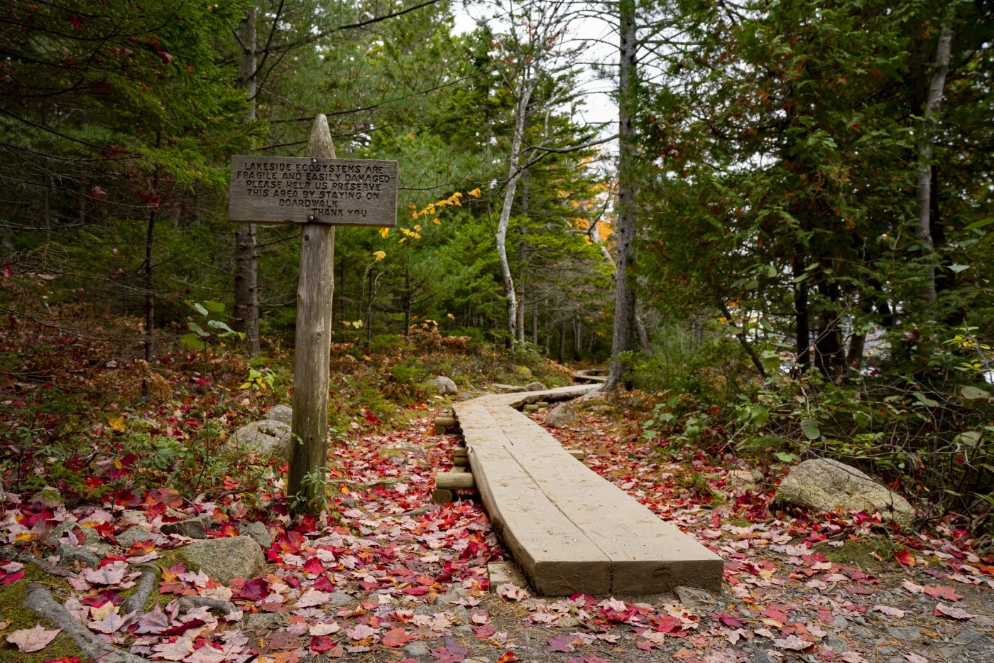 1-Acadia-Maine best places to visit in Maine