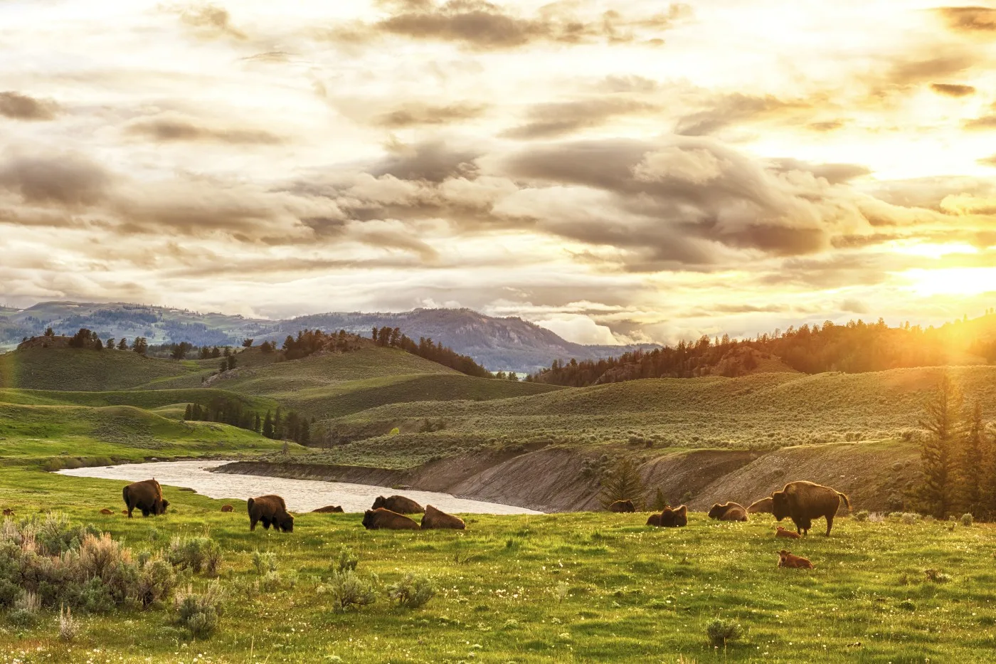 1-Yellowstone-WY best places to visit in Wyoming