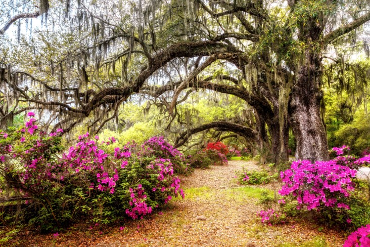 best places to visit in south carolina