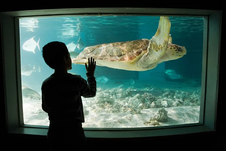 2-Mystic-Aquarium-CT