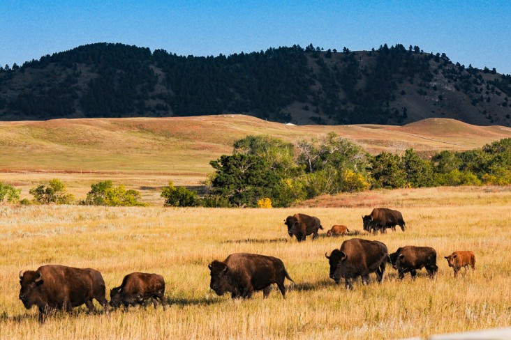 best places to visit in South Dakota