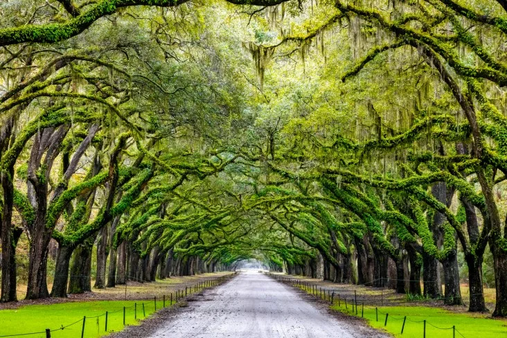 3-Savannah-December best places to visit in December in the us