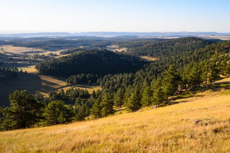 5-Wind-Cave-SD best places to visit in South Dakota