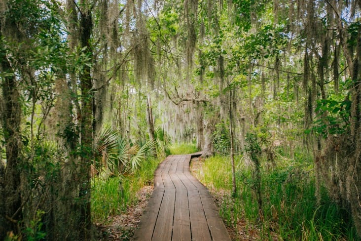 best places to visit in Louisiana