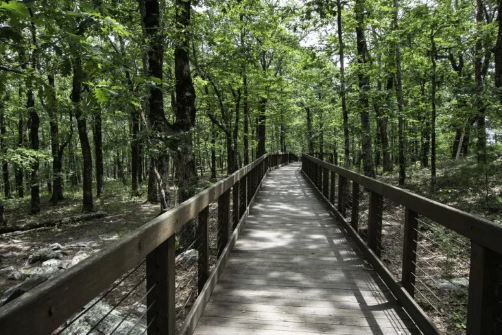 8-Cheaha-Alabama
