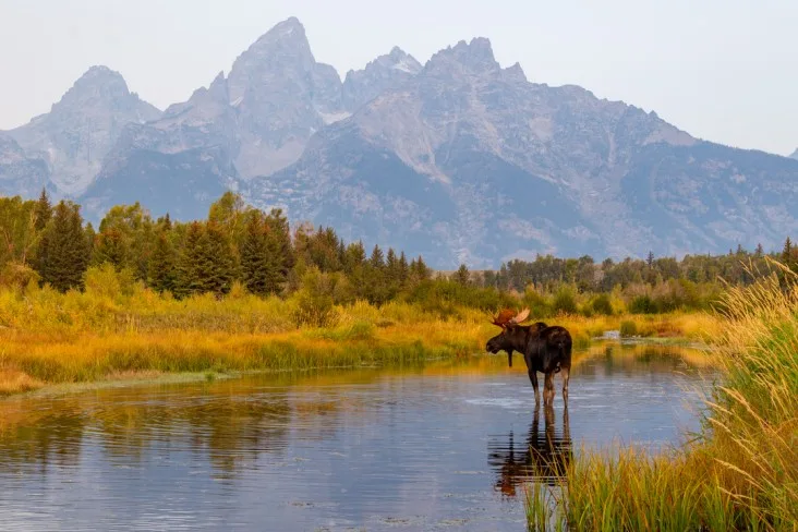 9-Jackson-Hole-October best places to visit in October in the us