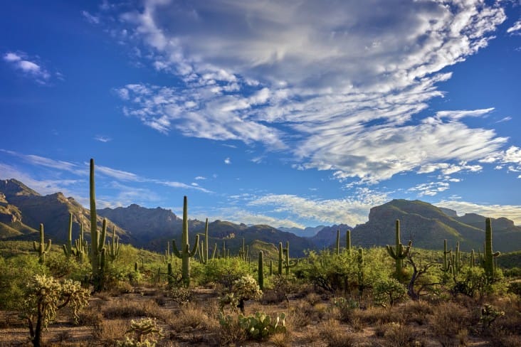 best places to visit in Arizona